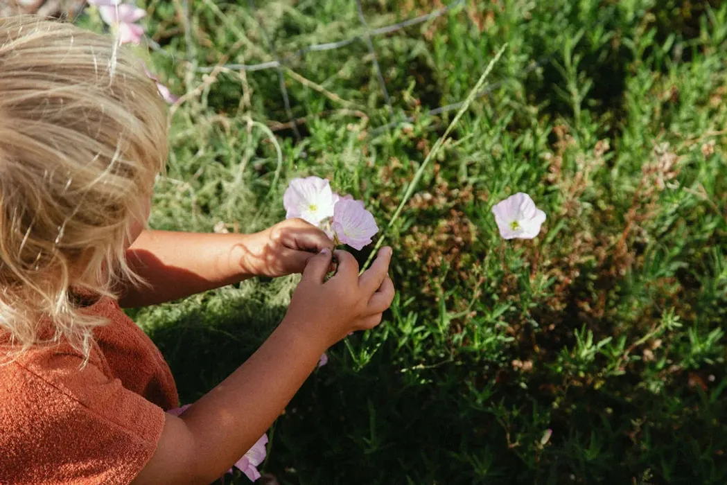 BUSH IKEBANA - A Workshop for Children and Families