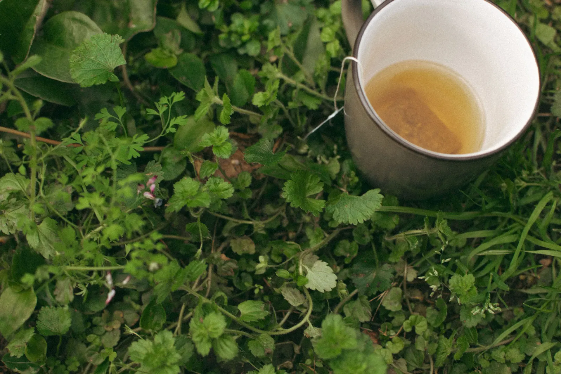 Beautiful floral arrangement